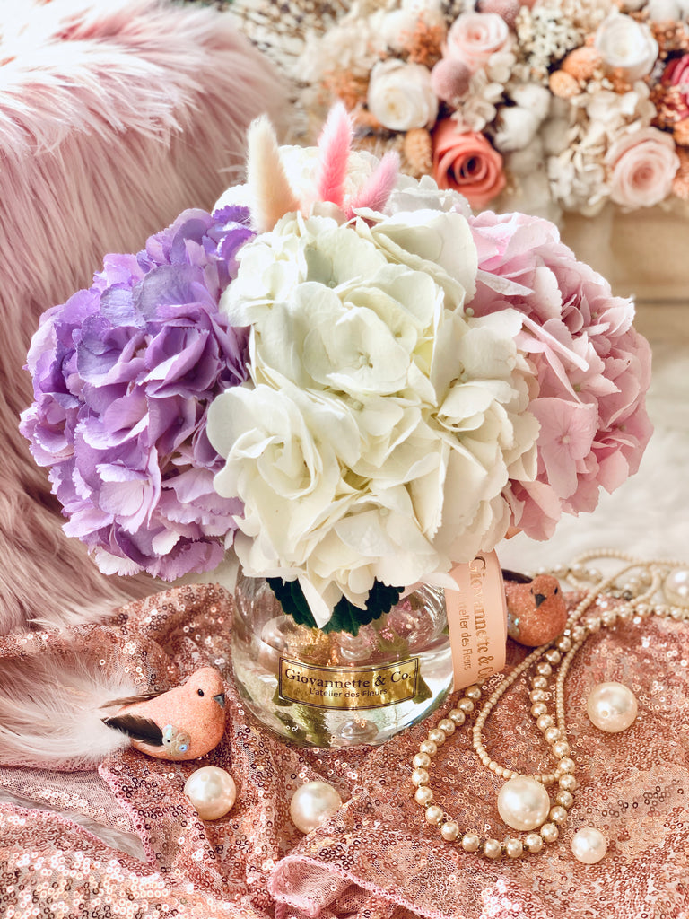 Premium Hydrangea Delights