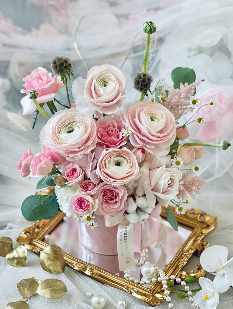 Blush Ranunculus Dream