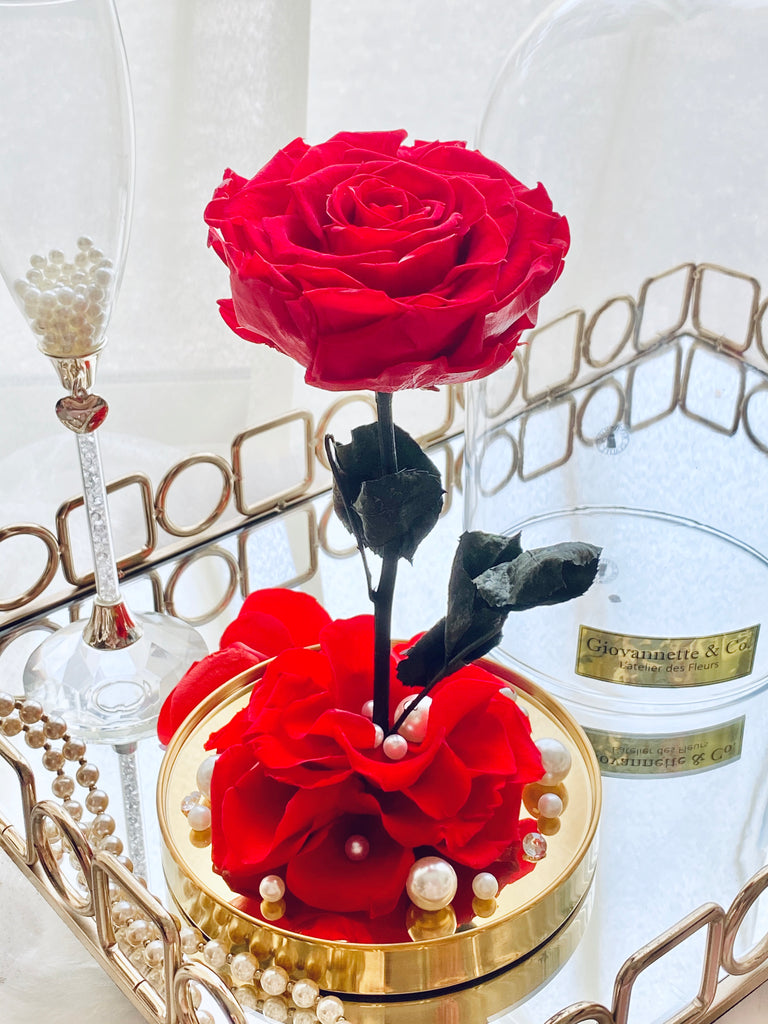 Eternity L’amour Bell Jar Bloom