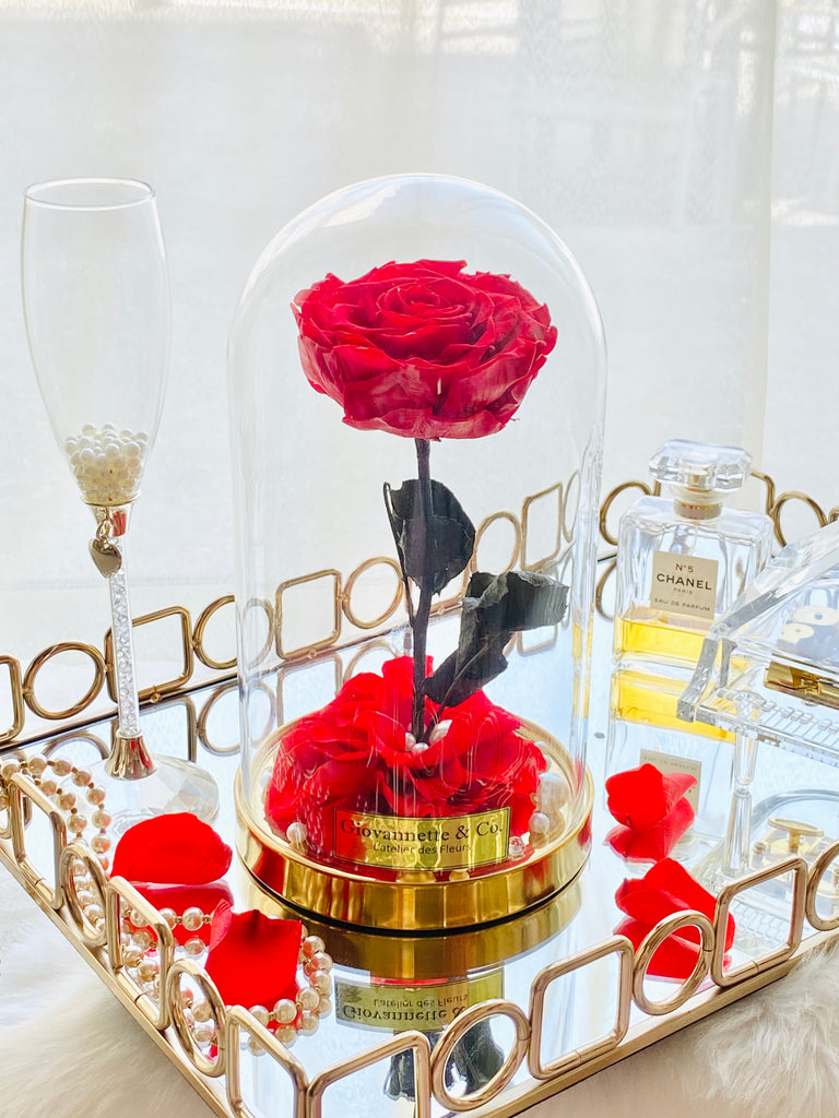 Eternity L’amour Bell Jar Bloom