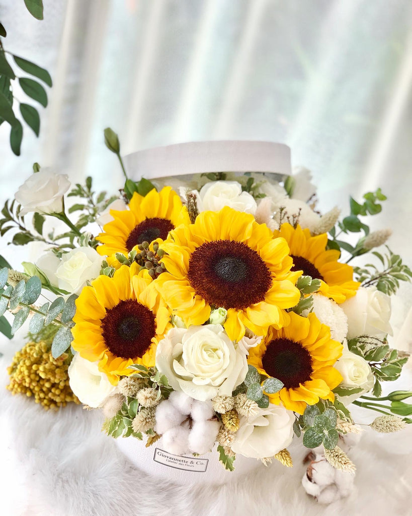 Sunflower Dream Blooms Box