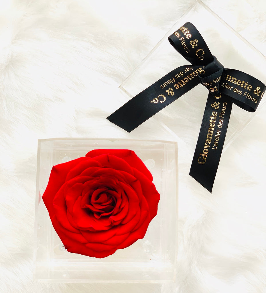 Premium Fresh Rose in Acrylic Box - Single