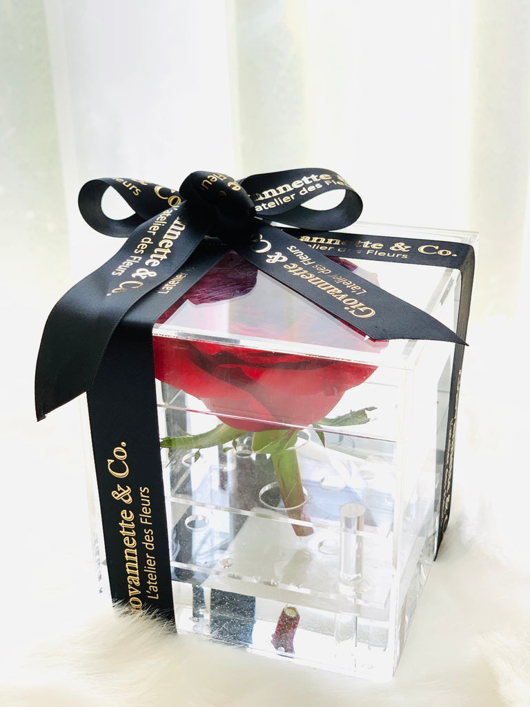 Premium Fresh Rose in Acrylic Box - Single