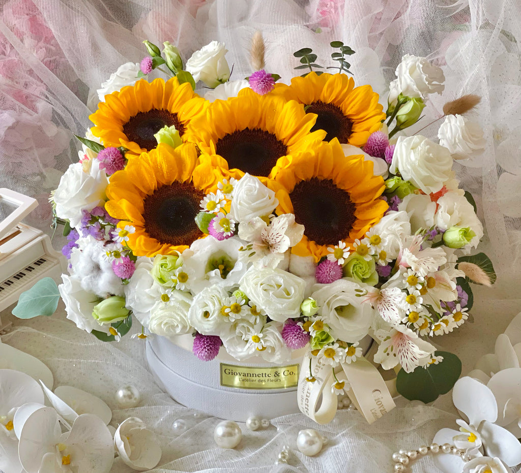 Sunflower Dream Blooms Box