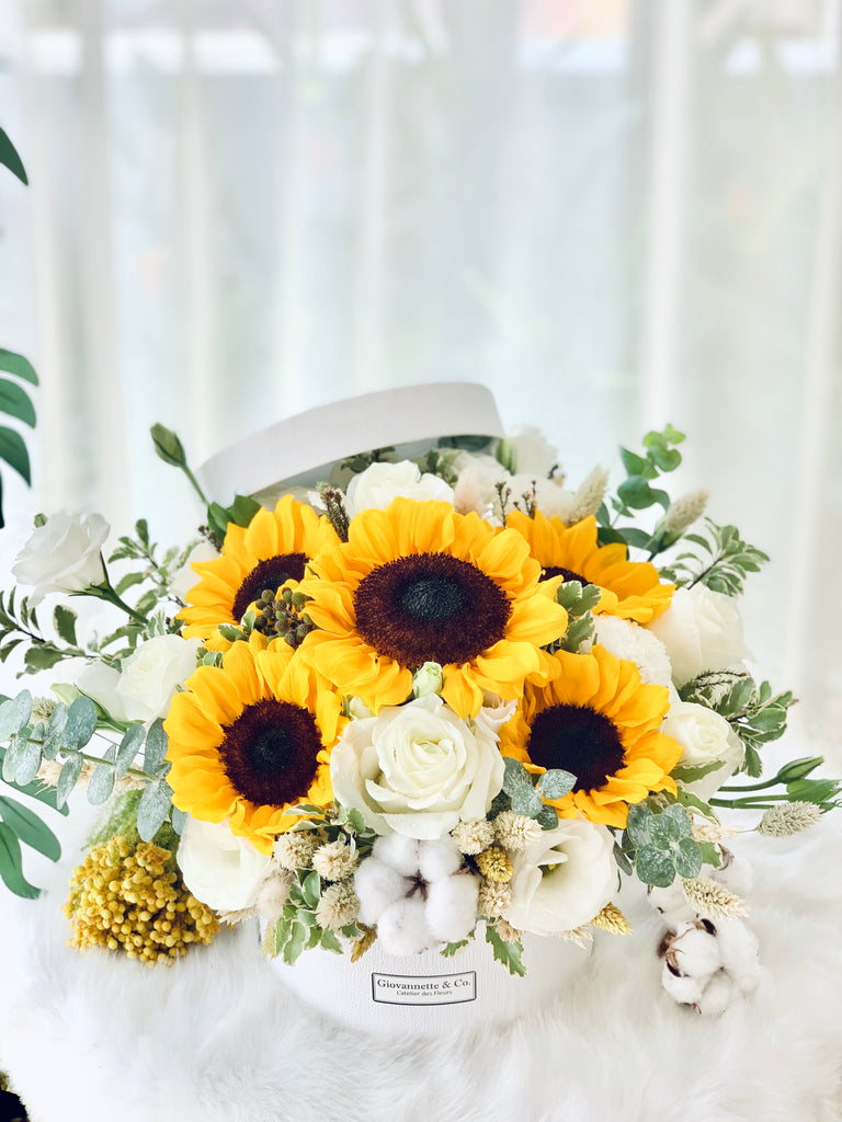Sunflower Dream Blooms Box